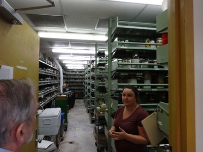 teaching collection